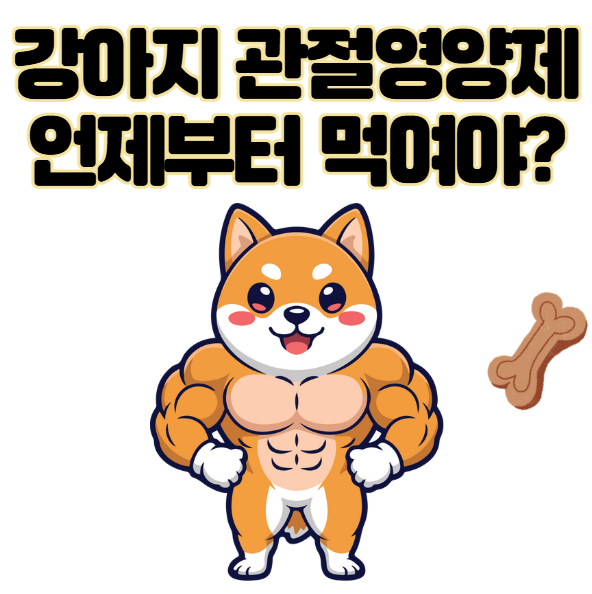 강아지 관절영양제 언제부터 먹여야 하나요? 시기별 기준 정리
