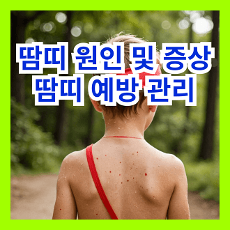 땀띠 원인 및 증상 땀띠 예방 및 관리