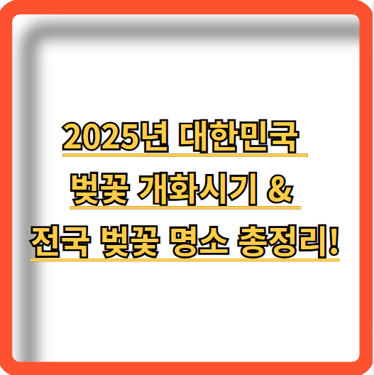 2025년-대한민국-벚꽃-개화시기-전국-벚꽃-명소