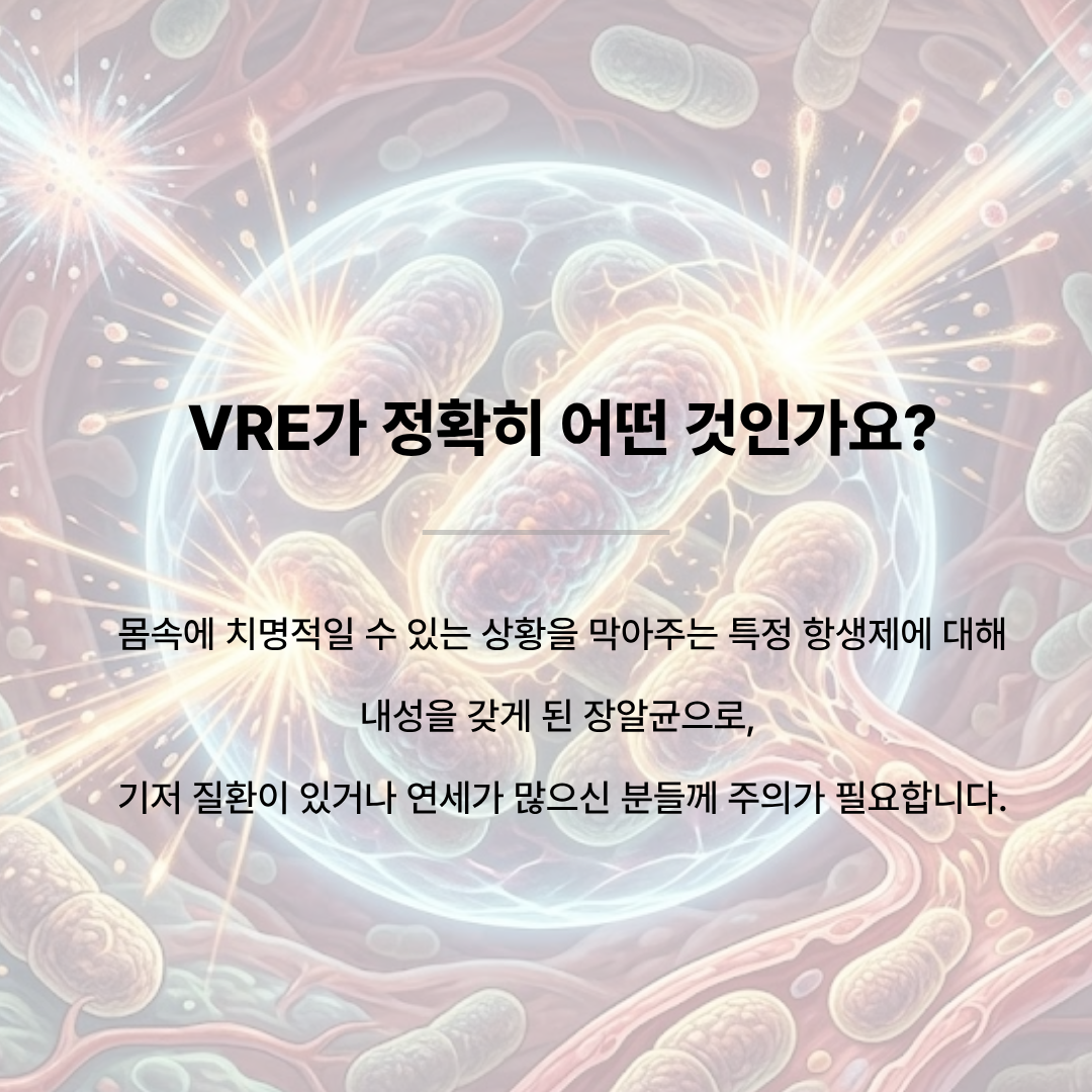 활성화된 세균 세포 일러스트 배경. 텍스트 'VRE가 정확히 어떤 것인가요? 몸속에 치명적일 수 있는 상황을 막아주는 특정 항생제에 대해 내성을 갖게 된 장알균으로, 기저 질환이 있거나 연세가 많으신 분들께 주의가 필요합니다