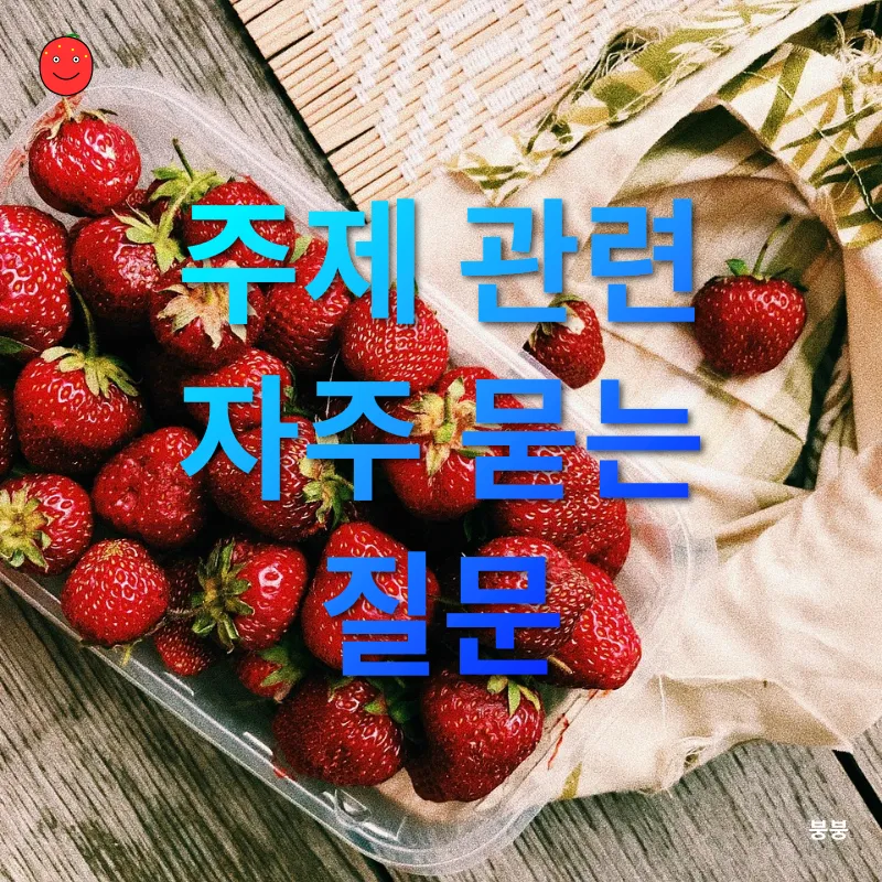 건강한 식단 관리_4