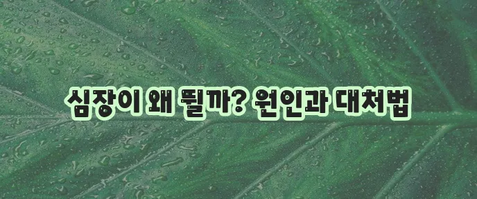 가슴 두근거림 증상 어떻게 대처해야 할까요?