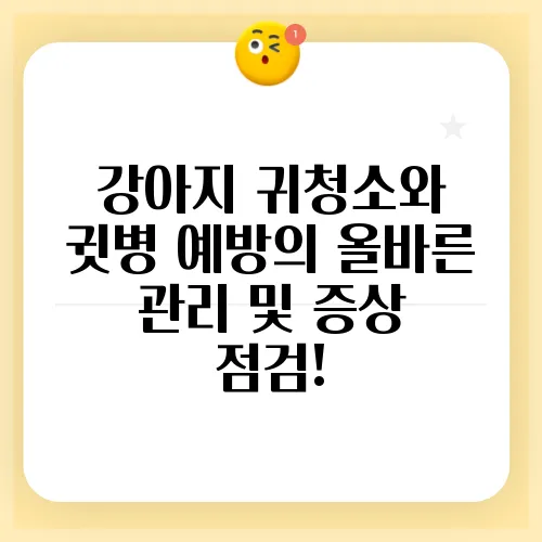강아지 귀청소와 귓병 예방의 올바른 관리 및 증상 점검!