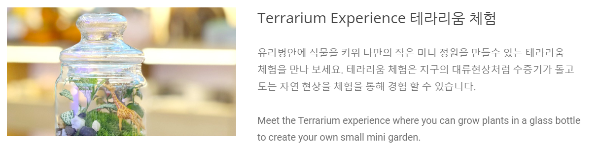 에델바이스 스위스 테마파크