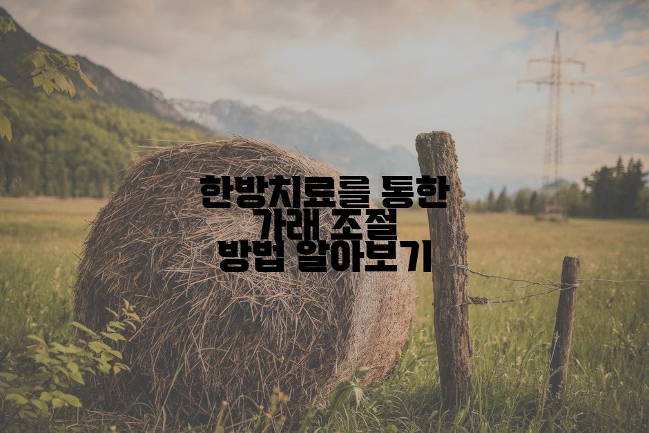 한방치료를 통한 가래 조절 방법 알아보기