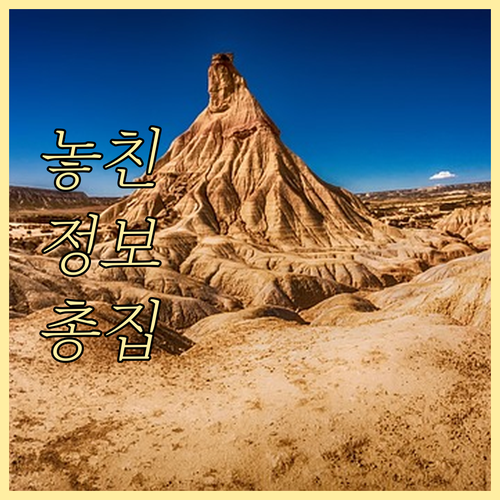 자동차보험료 납부 유예 신청 절차와 ..