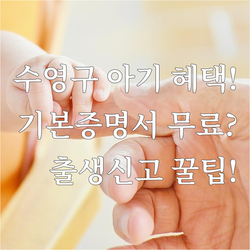 별도 신청 없는 수영구 2025년 출..