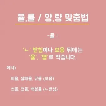 율 률 맞춤법 완벽정리 합격률 합격율_7