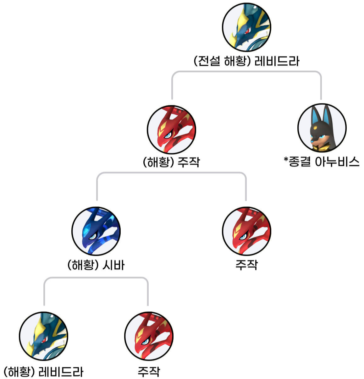 레비드라 교배 가이드