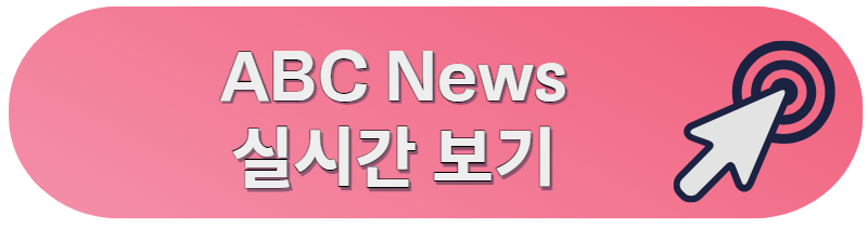 미국 뉴스 실시간 보기