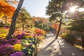 화담숲 모노레일