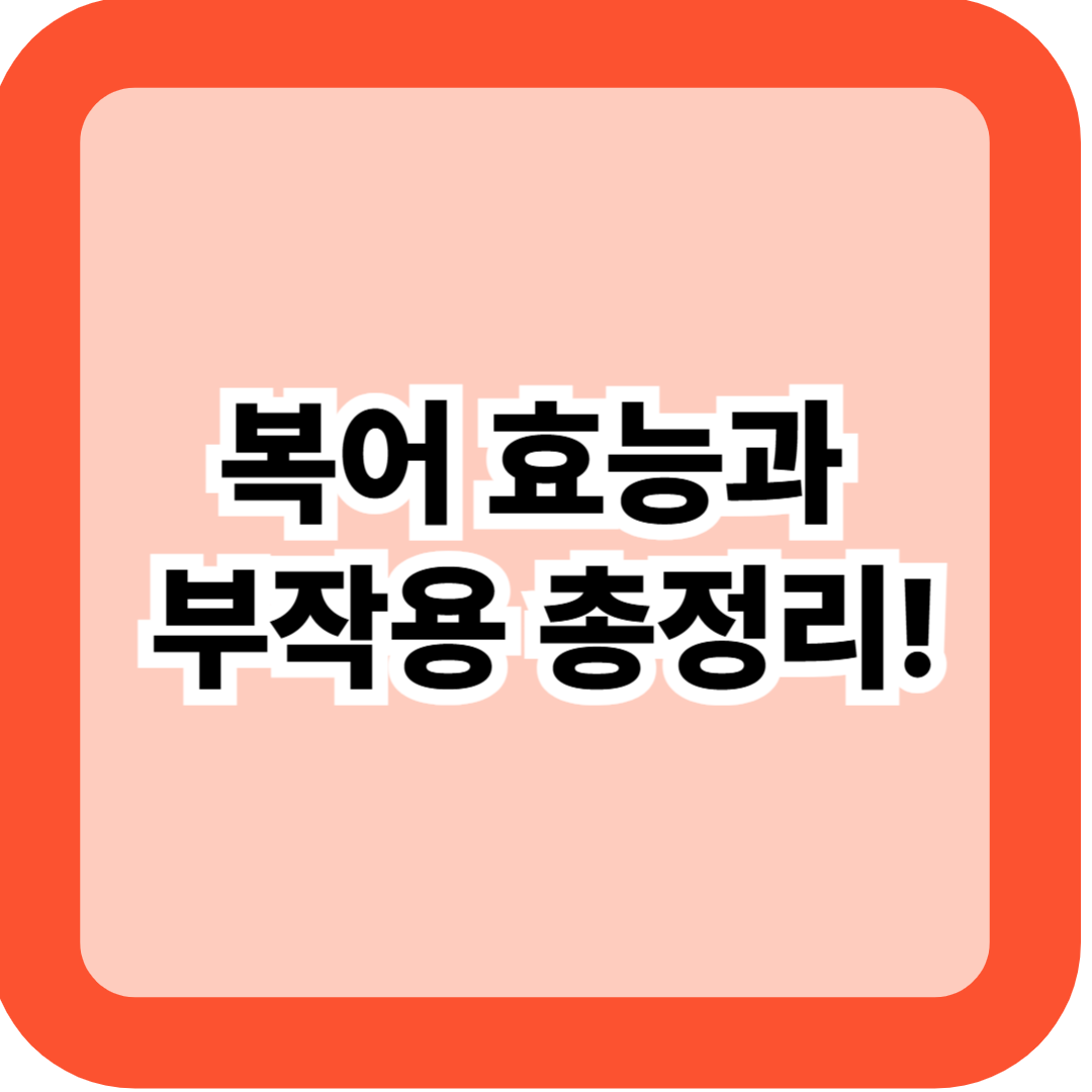 복어 효능과 부작용 총정리, 40대 이후 꼭 챙겨야 할 이유 5가지