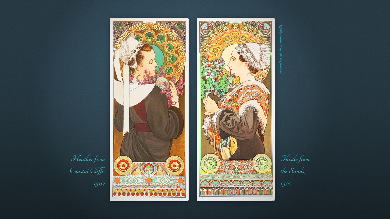 14 해안 절벽의 헤더, 모래밭의 엉겅퀴 C - Heather from Coastal Cliffs, Thistle from the Sands, 1902 알폰스무하배경화면