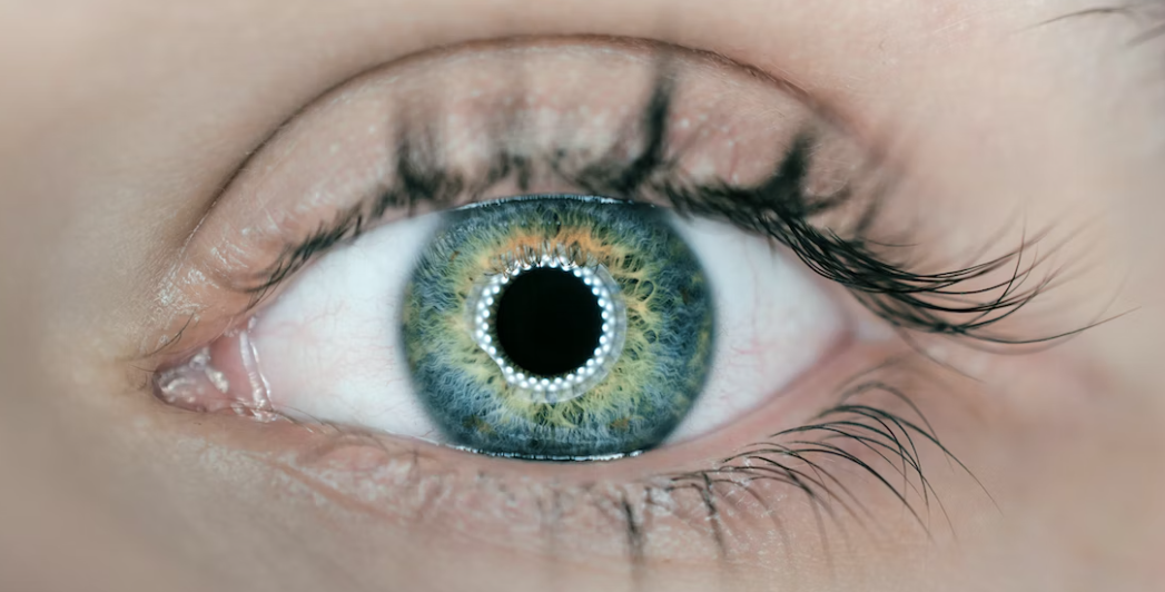 눈에 좋은 필수 영양소 및 식품