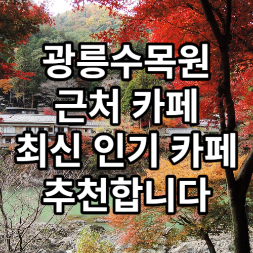 광릉수목원 근처 카페 TOP3 앤스베이글, 카페숨, 포옥
