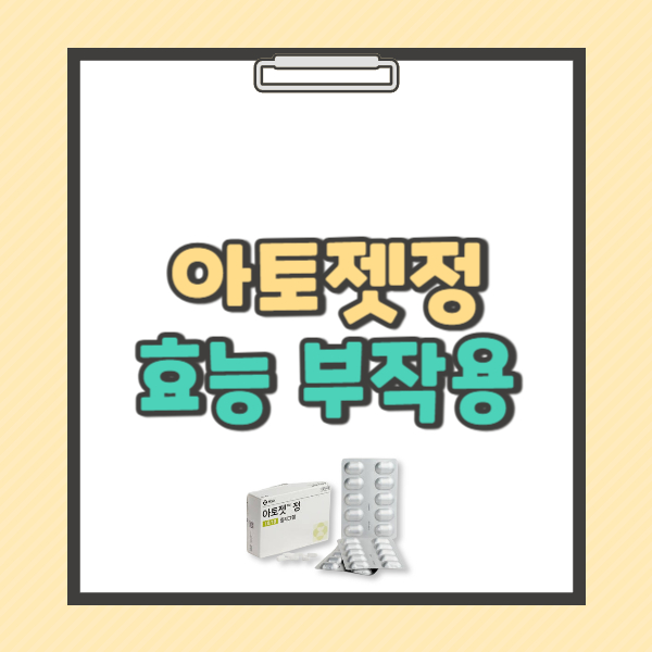 아토젯정 10/10mg 효능 복용법 부작용