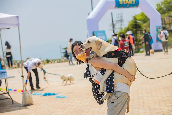 2025 댕댕트레킹 일정 및 프로그램 총정리 – 하이원리조트 반려견 축제, 강형욱 북콘서트