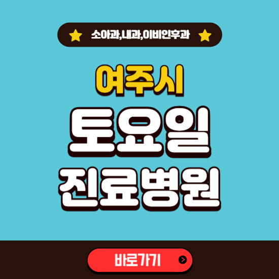 여주시 토요일 진료 병원 찾기 ❘ 주말 문여는 소아과, 내과, 이비인후과 리스트