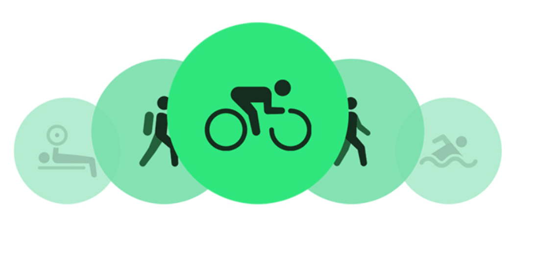 갤럭시워치 5 6 비교