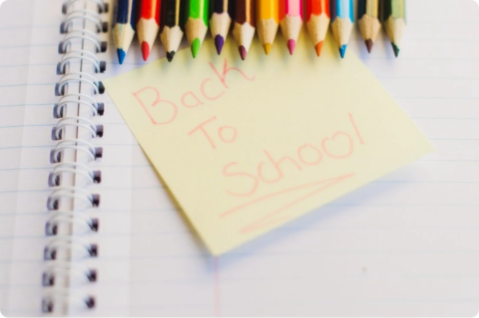 초등학교 입학통지서 받는 순간부터 해야 할 5가지