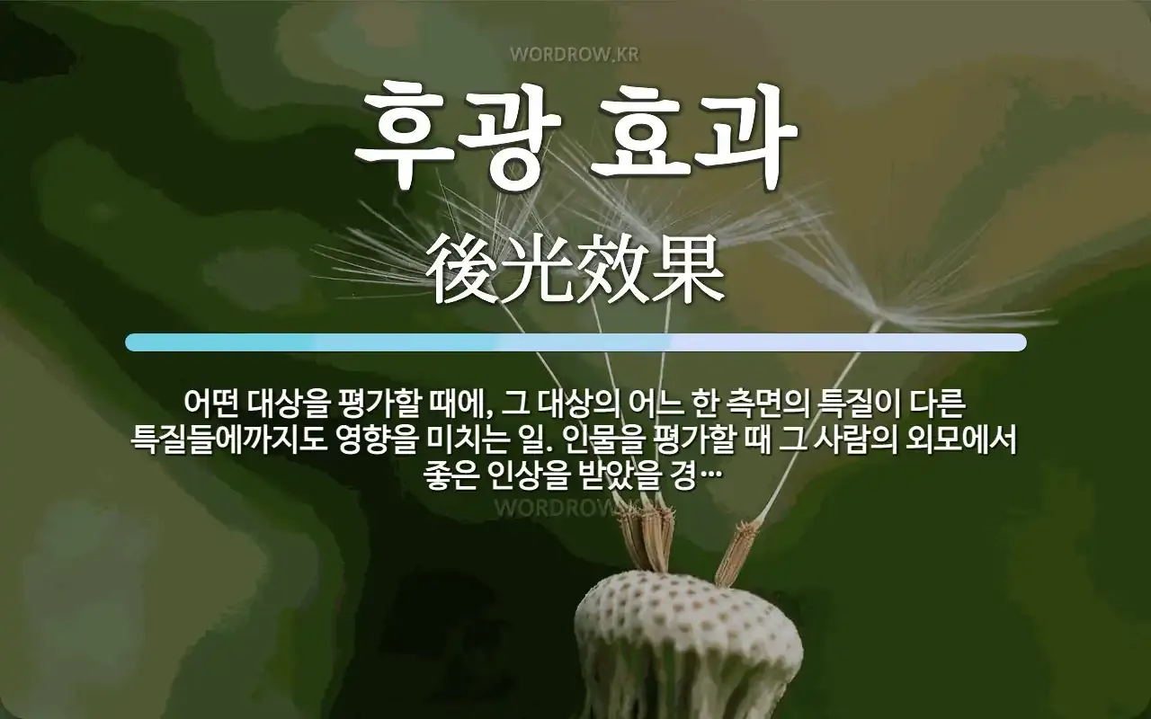 후광효과 뜻 실제 사례 유래 반대 개념 비판 시각_2
