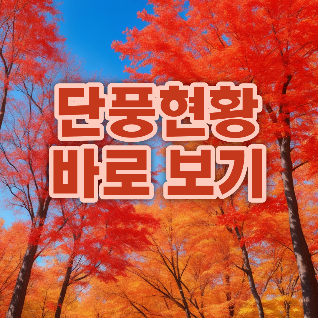 유명산 단풍
