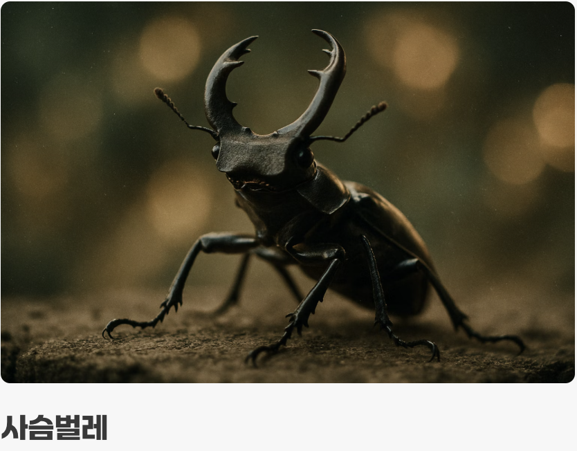 힘의 상징 vs 품격의 기사