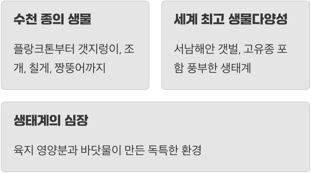 진흙 속에 숨겨진 생명의 보고