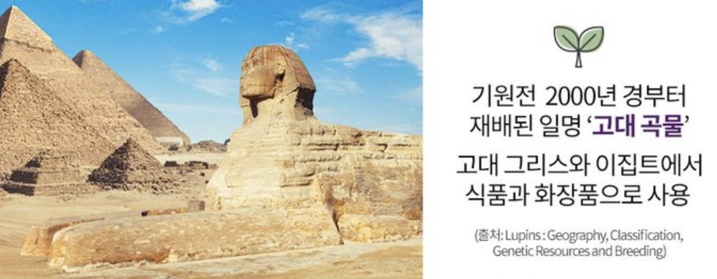 루피니빈 효능1