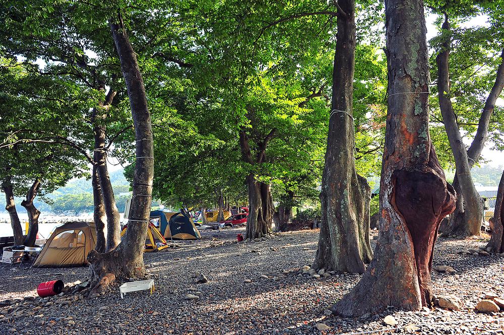 남해군 초전마을 캠핑장 소개