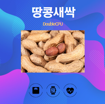 땅콩새싹 알아보기