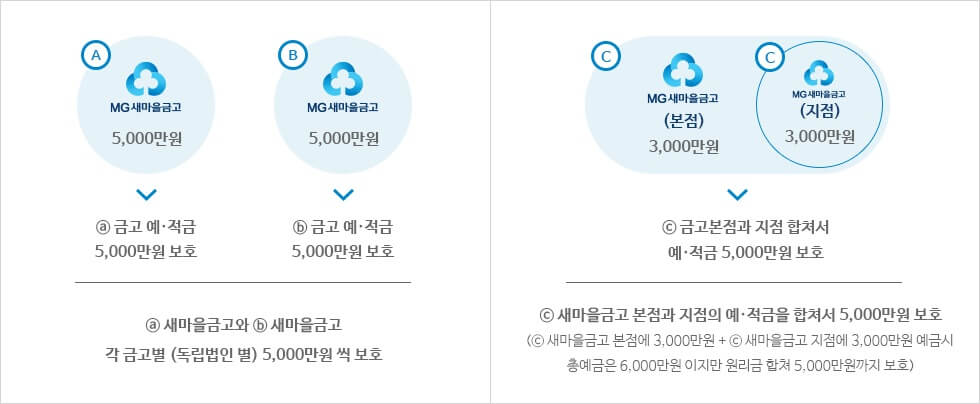 새마을금고 예금자보호