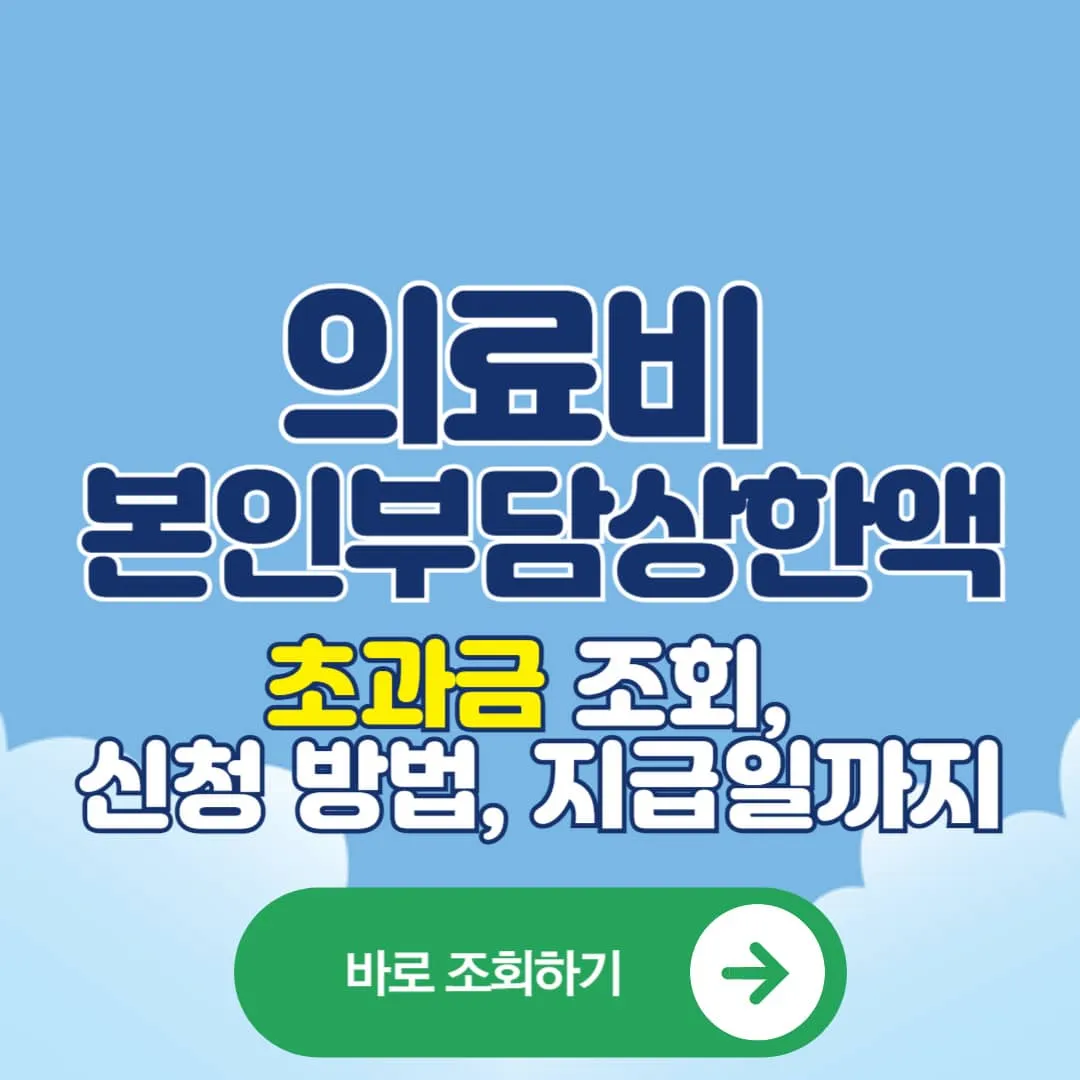 의료비 본인부담상한액 초과금 조회