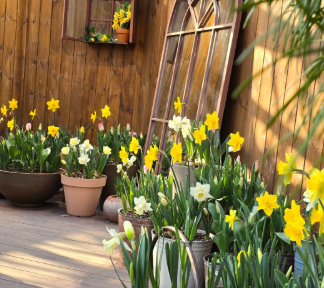 화담숲에서 볼수있는 꽃들