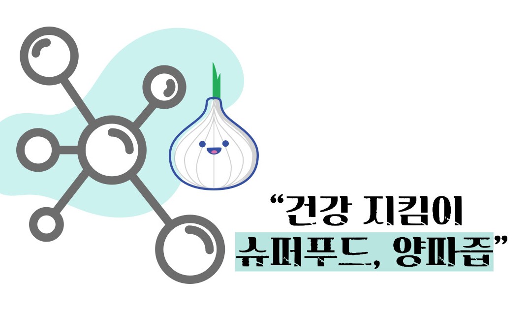 양파즙 효능 고혈압