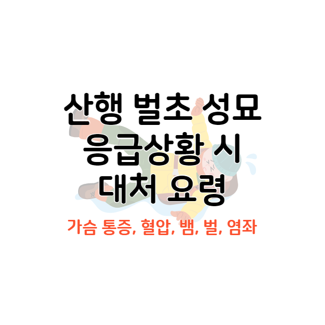 산행 벌초 성묘 안전수칙 응급조치