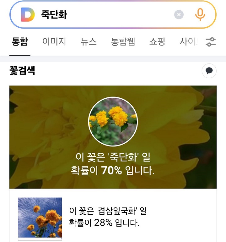 꽃이름 보임
