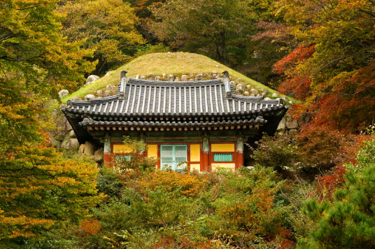 대중교통