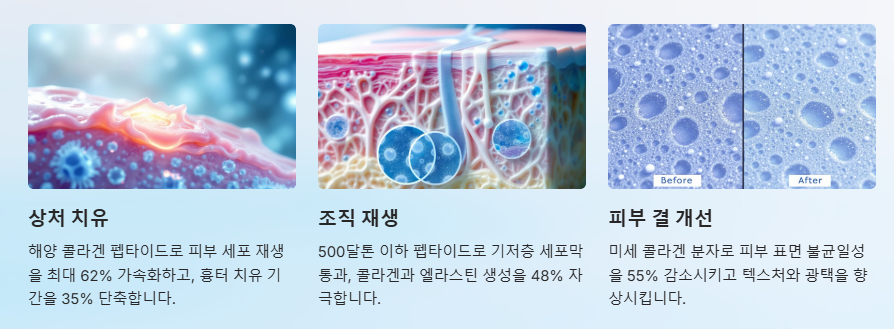손상된 피부 재생촉진