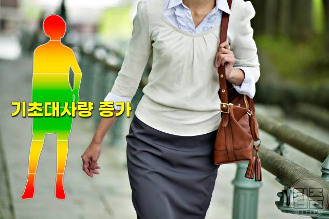 워킹 러닝 조깅 차이,걷기운동 효과,걷기운동방법