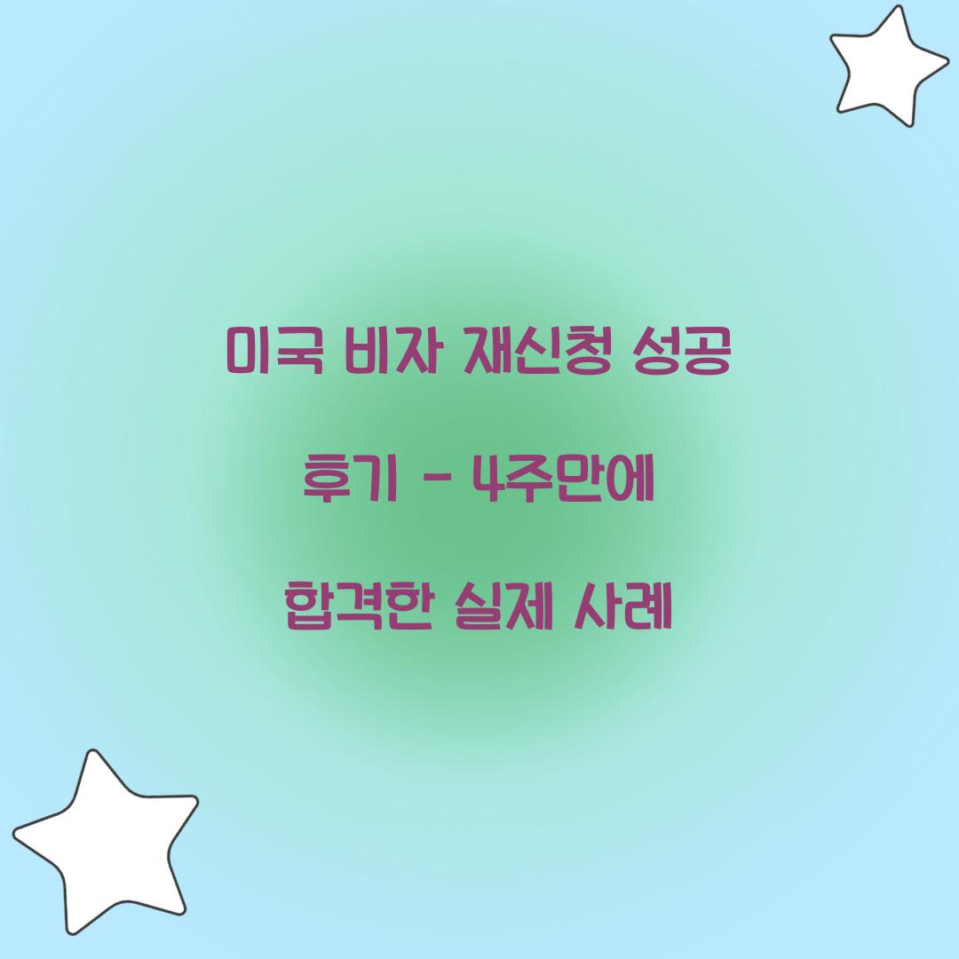 미국 비자 재신청