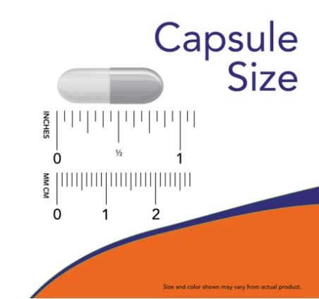 롱비다-커큐민-추천