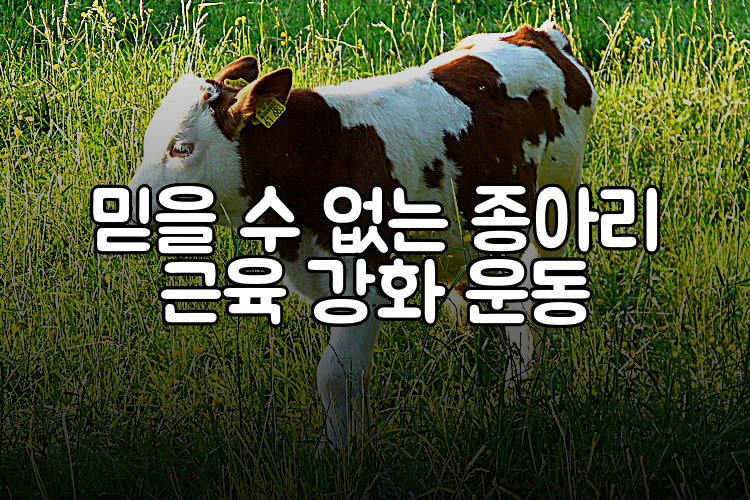 믿을 수 없는 종아리 근육 강화 운동