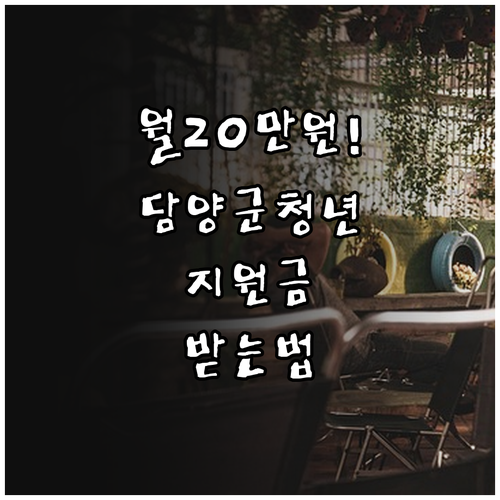 담양군 청년월세 지원금 월20만원 받..