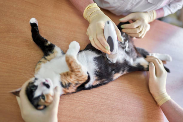 수술 후 회복과 관리 방법