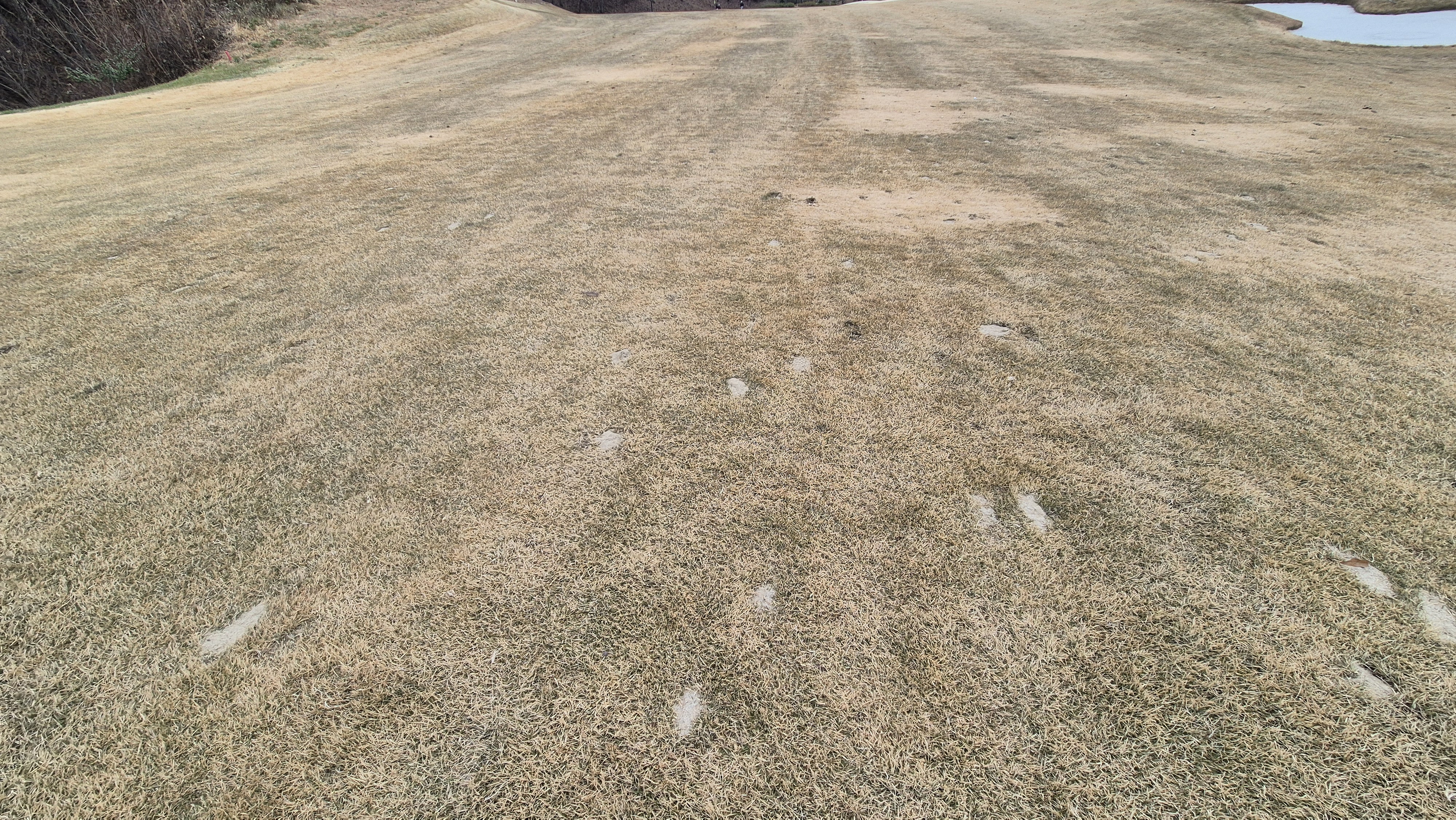 힐데스하임 레이크-힐 코스 코스 관리 상태