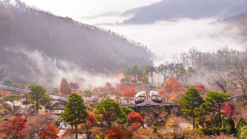 10월 경기 지역 가을 축제