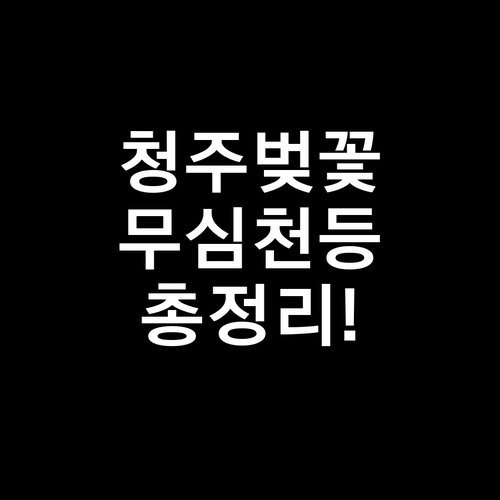 2026 청주 벚꽃 구경하기 좋은 곳..