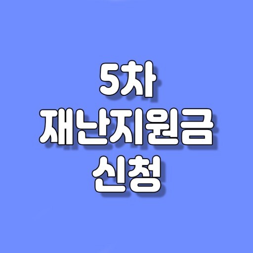 6차 재난지원금