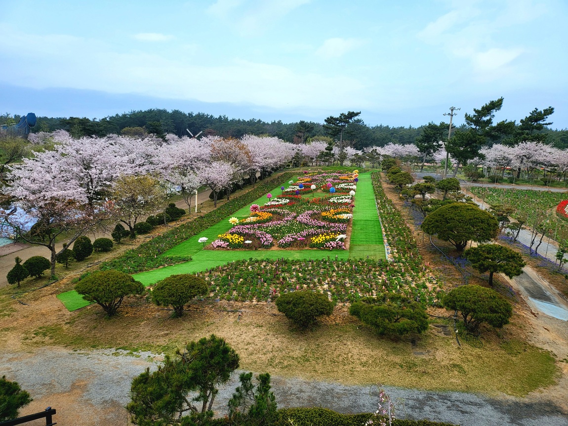 2025 태안 봄꽃 정원 기본정보